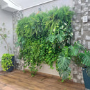 Kit 10 módulos Greenplast de 50 cm