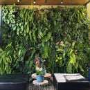 Kit 10 módulos Greenplast de 50 cm